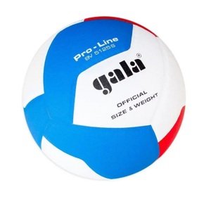 Volejbalový míč GALA Pro Line BV5125S