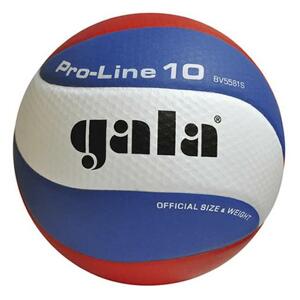 Míč na volejbal gala pro-line 10 bv 5581 s