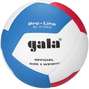 GALA BV5125 PRO-LINE 12 Volejbalový míč, bílá, velikost