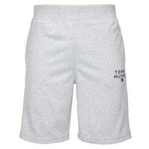 Tommy Hilfiger SHORT Pánské šortky, šedá, velikost