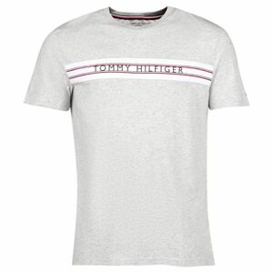 Tommy Hilfiger CLASSIC-CN SS TEE PRINT Pánské tričko, šedá, velikost