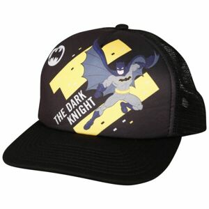 Warner Bros BATMAN DARK HAT Kšiltovka, černá, velikost