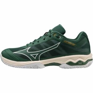 Mizuno WAVE EXCEED LIGHT CC Pánská běžecká obuv, zelená, velikost 42.5