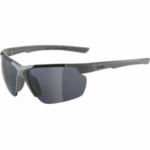 Alpina Sports DEFEY HR Sluneční brýle, tmavě šedá, velikost