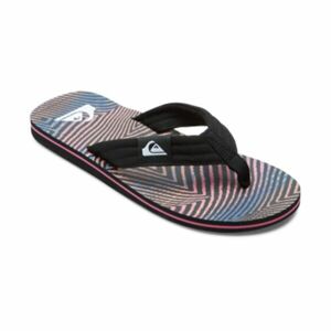 Quiksilver MOLOKAI LAYBACK II Pánské žabky, mix, velikost 42